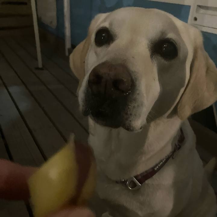 108648ed 660a 46e8 8d75 c7de8abc0031 1678371911195