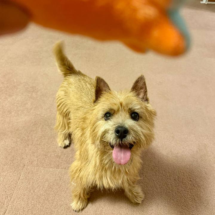 10864d47 62c0 4a50 ab35 b507a5af421a 1765725404084