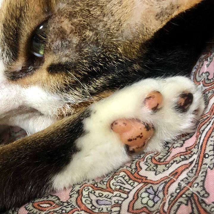 1086539f e3ad 4553 a5a1 d22e4fd95534 1538204699525