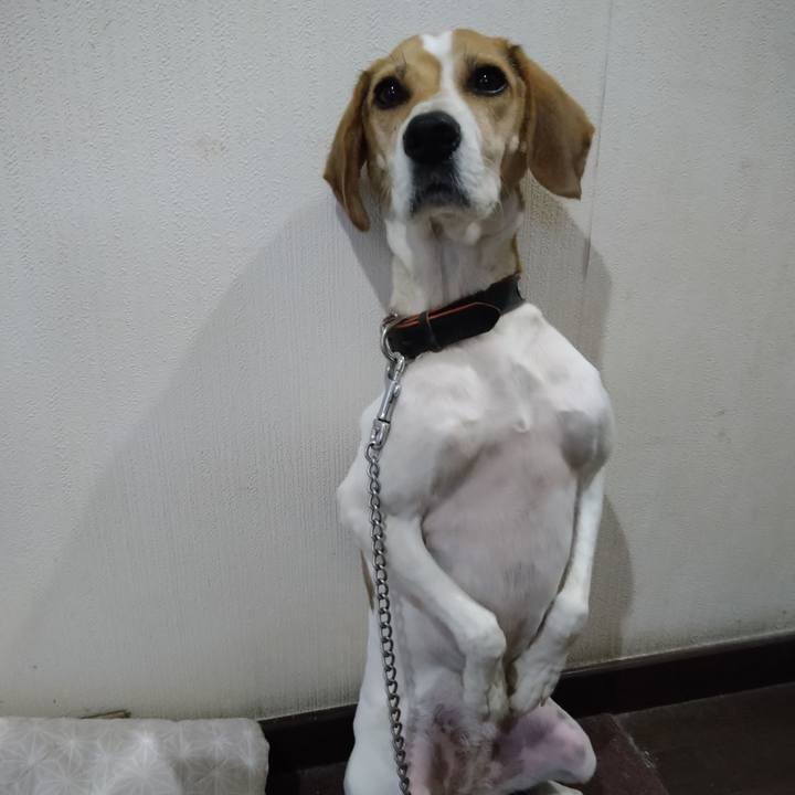 108659a5 50c5 4bfd a15c abc0181d955b 1634717223833