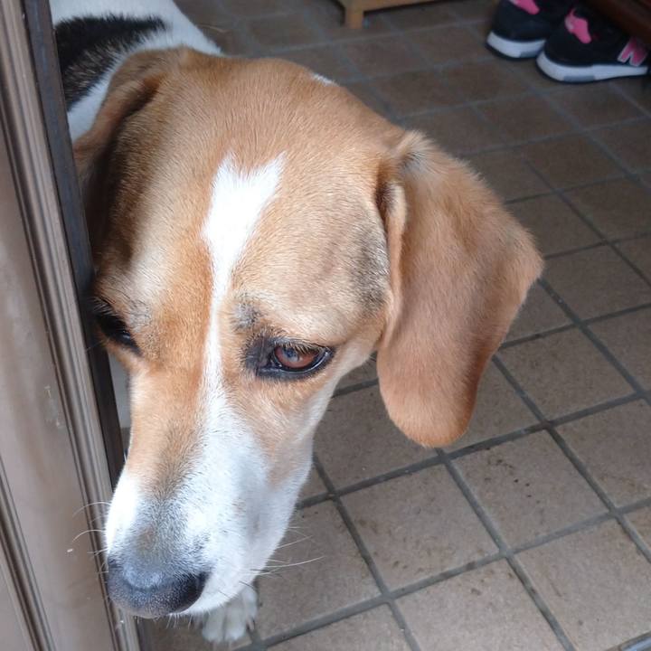 10867574 9880 4c8b 9c46 93474f8d7d1a 1589609722988