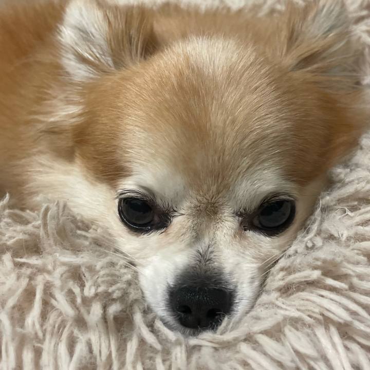 1086873f a8e0 454e 9f9e 2e40b9dd37c6 1755275159538