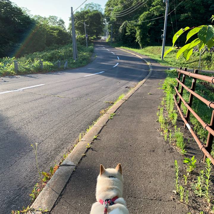 10868d71 fbeb 4005 93ed a5e5d30e0bd5 1563745086379