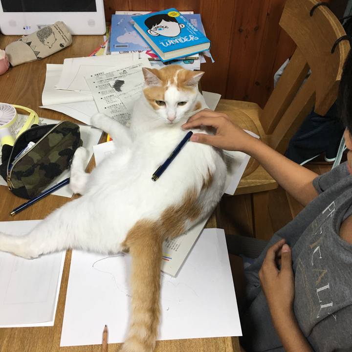 1086924f f59a 4c00 a3b9 fc36a02e6c61 1534778308042