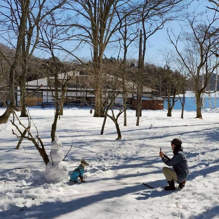 1086a756 ca3c 4d27 b488 1ac9dc098f55 1771240042798