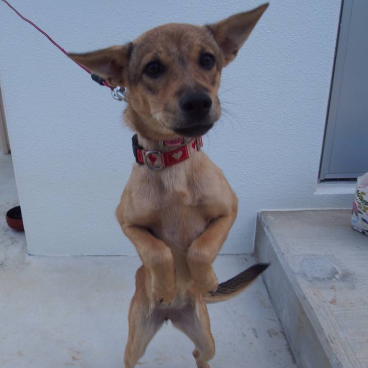 1086aead 0144 4040 8742 5a81425c46f2 1538550667843