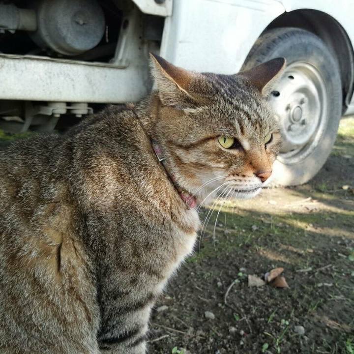 1086c4e0 2013 49df bbf4 05250bef93c6 1510632557638