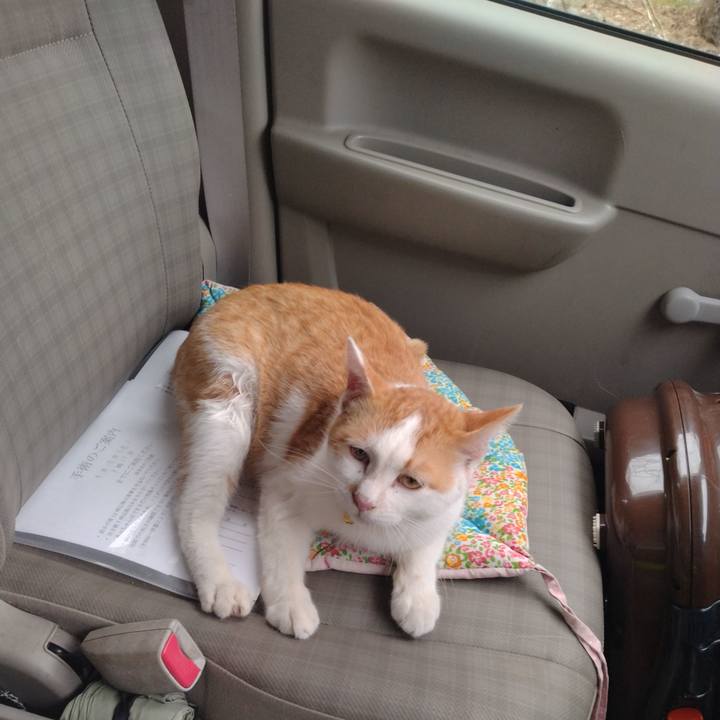 1086c564 55ca 414b 9589 99dc5a6f02f8 1744097427527