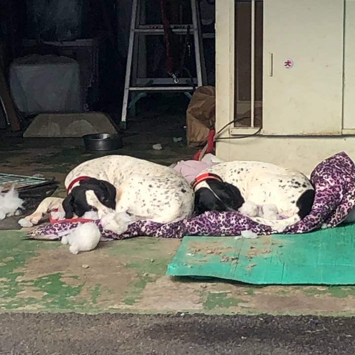 10870297 7f62 49b7 8d28 849ee1effc36 1643865337170