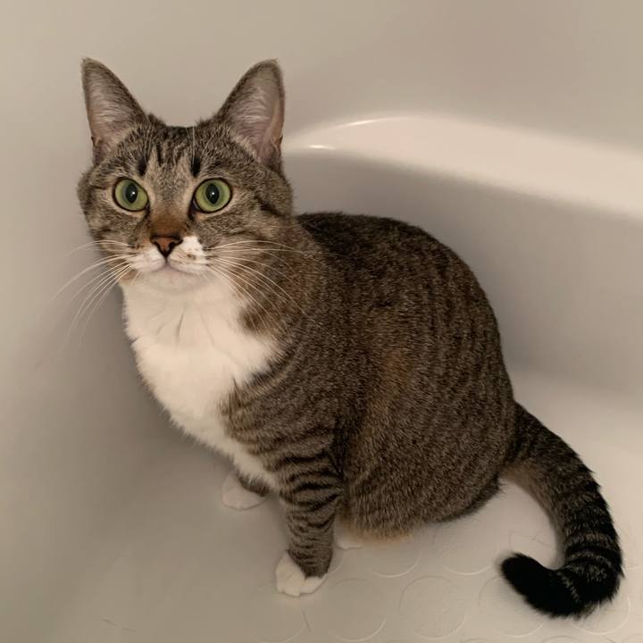 10872357 b925 4744 ba62 e75a7e4703b4 1639397759576