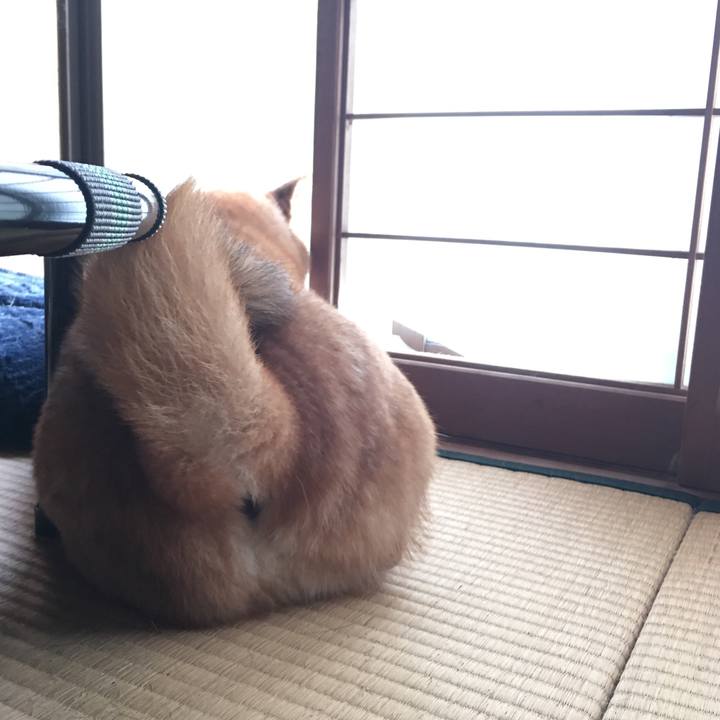 10875f87 b940 4384 b1e1 34922d29ba9e 1569681068773