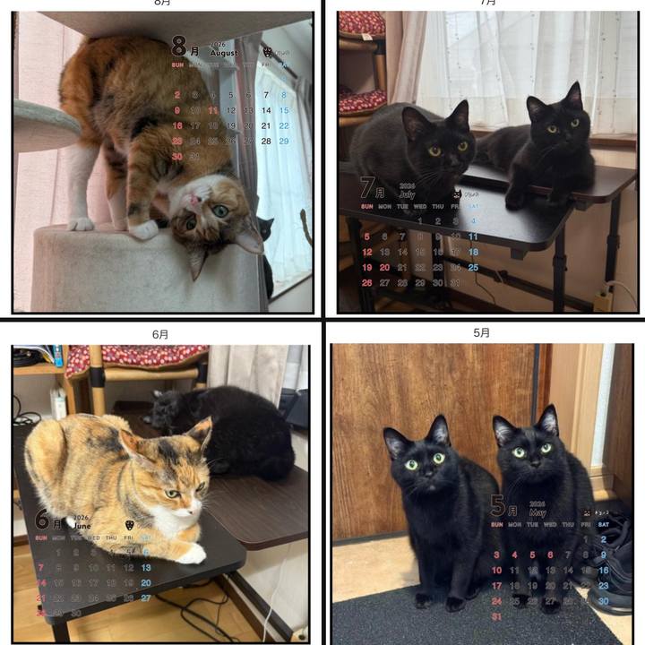 10876ade 74b1 4651 8cd8 a666512180c2 1763260316938