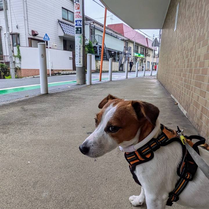 108786b8 5537 4d26 8d52 0c65d4b4dcef 1728458429072