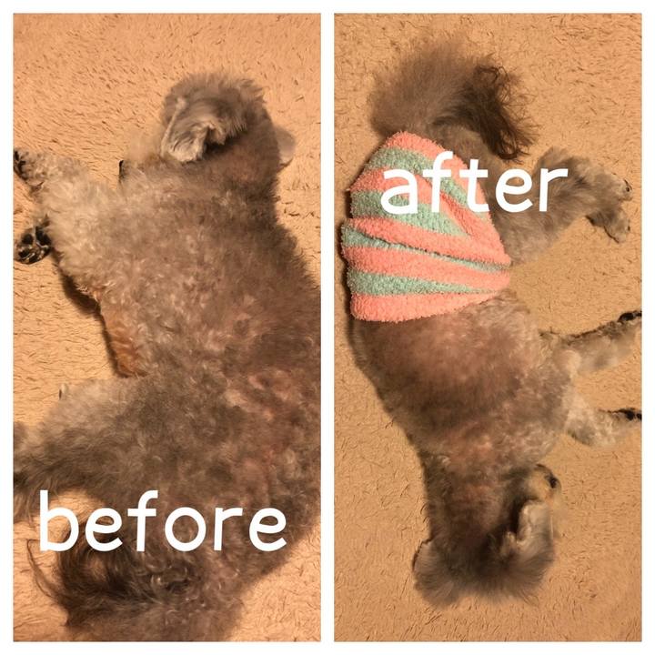 1087a683 4eb0 4c12 8ed7 9887d9fff81b 1615995502949