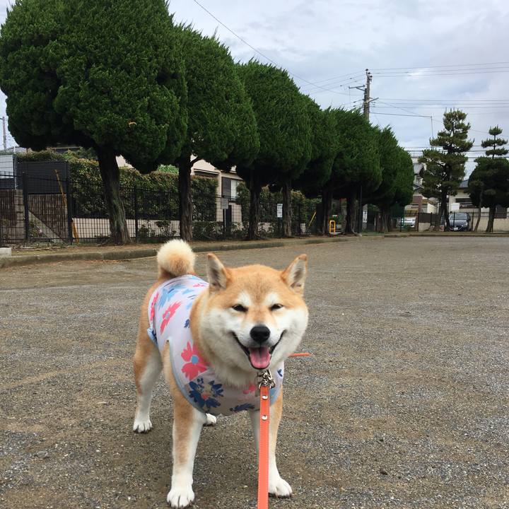 1087aaf8 35e1 45d3 8d10 4b6804a5d31b 1561681163762