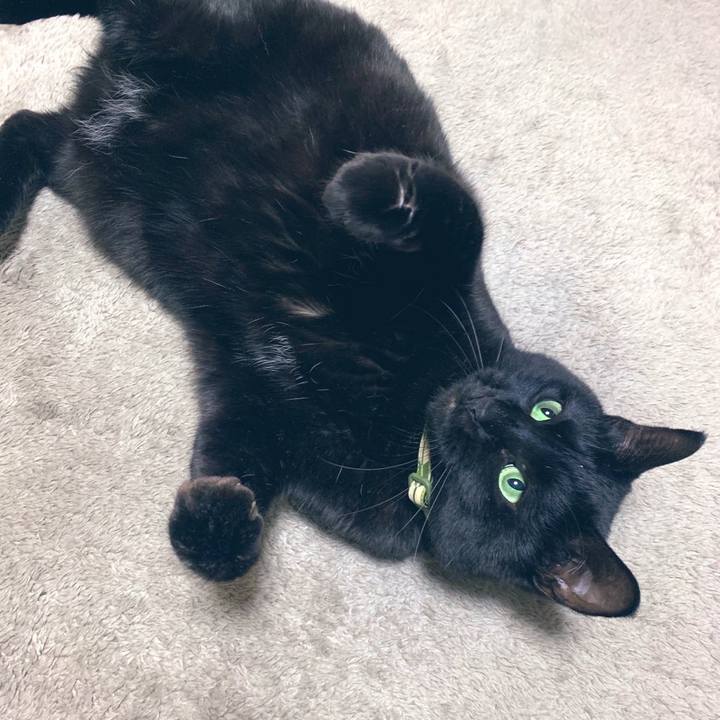 1087b600 71d0 4178 b79a 2ef1ff9faf60 1582774012022