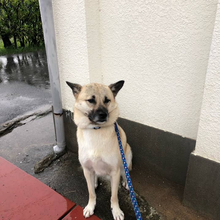 108829d9 50f0 4b72 8b1c ab2fb34cb29c 1530274046984