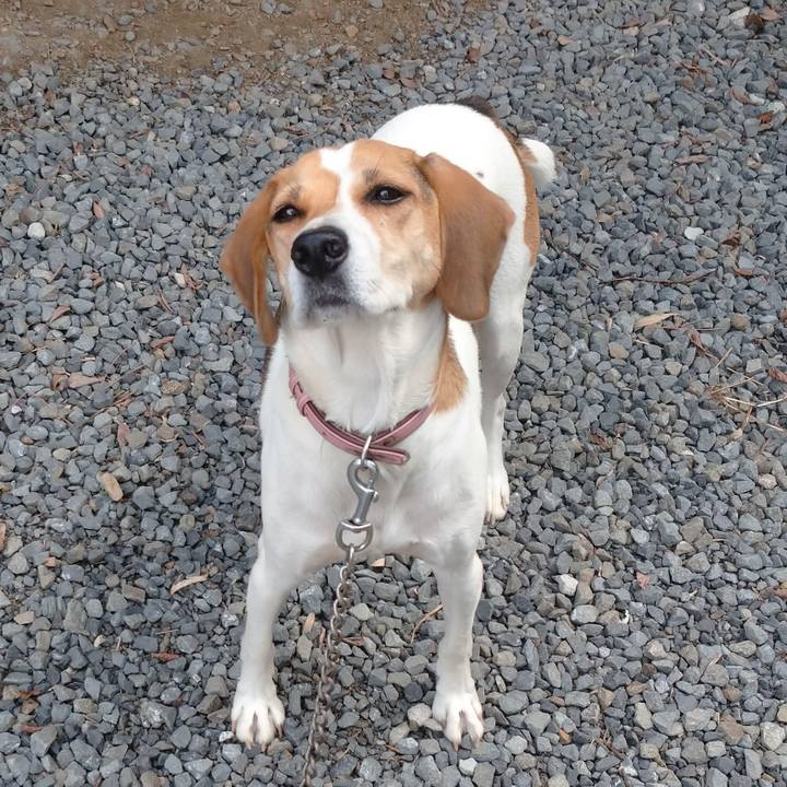 108855ca 0ba5 432e 95c5 66b840ceac95 1601381101104