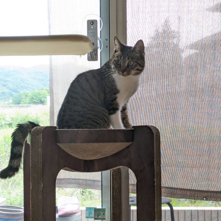 108870b3 4723 471d 85b1 faa45b52aa58 1687385418089