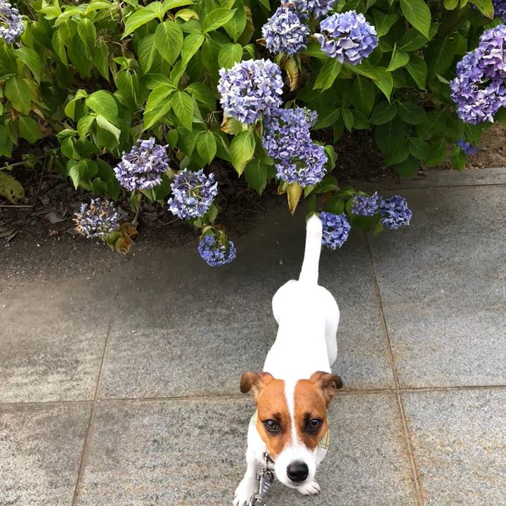 10889e3d 7895 4837 b55d fec9c4a5676e 1532430785996