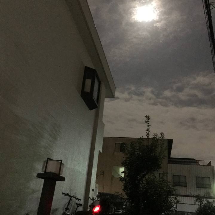 1088ac95 02e2 4414 8517 464e61c4b021 1555685364098