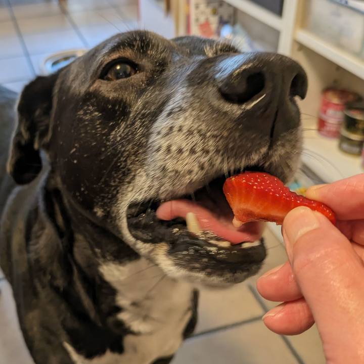 1088af66 a1fe 41f8 acbc d04292ba42c3 1714043523470