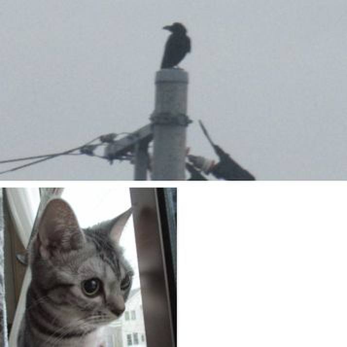 1088d85c a102 405a adec b8e02b68e12b 1554815900850