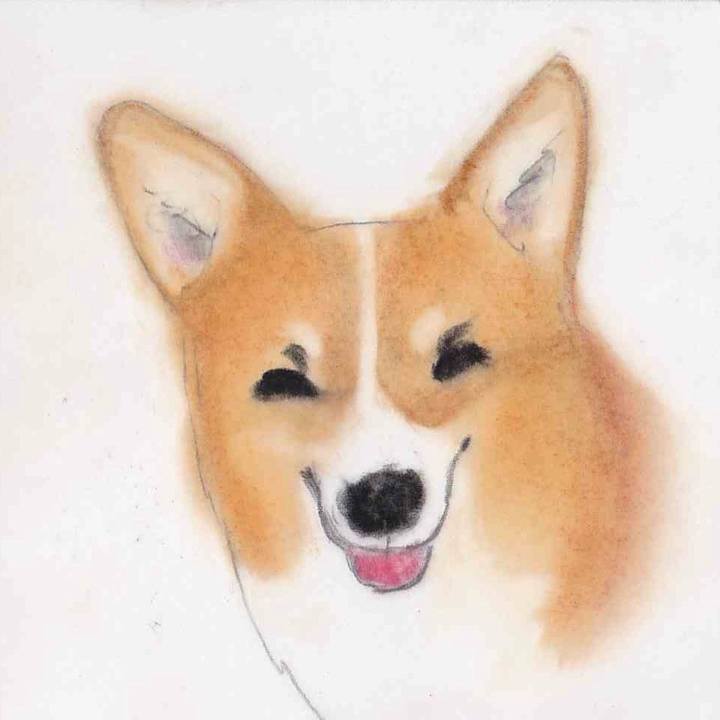 1088e8f7 2879 495d b61b 617fe1f4d96b 1633877226804