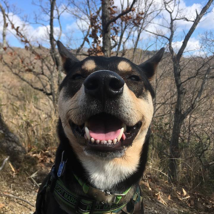 1088fd3a f9af 4072 ae45 0b436dd49621 1553396753319