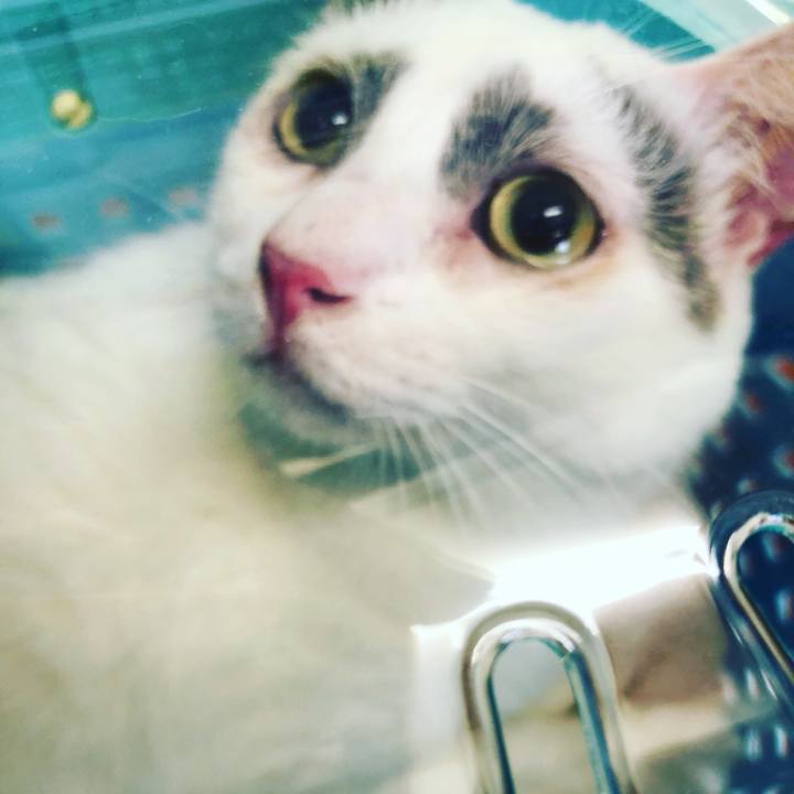 108904ef 4d29 44ca 977c 05f88374a2d0 1524655769648