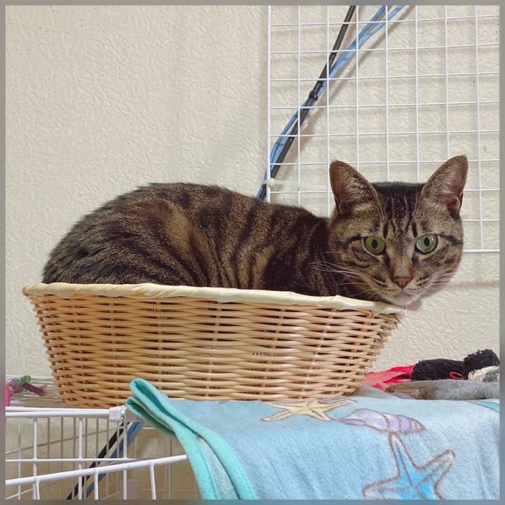 10890a42 ae73 45bc b61c 111295c2ff4c 1608704332985