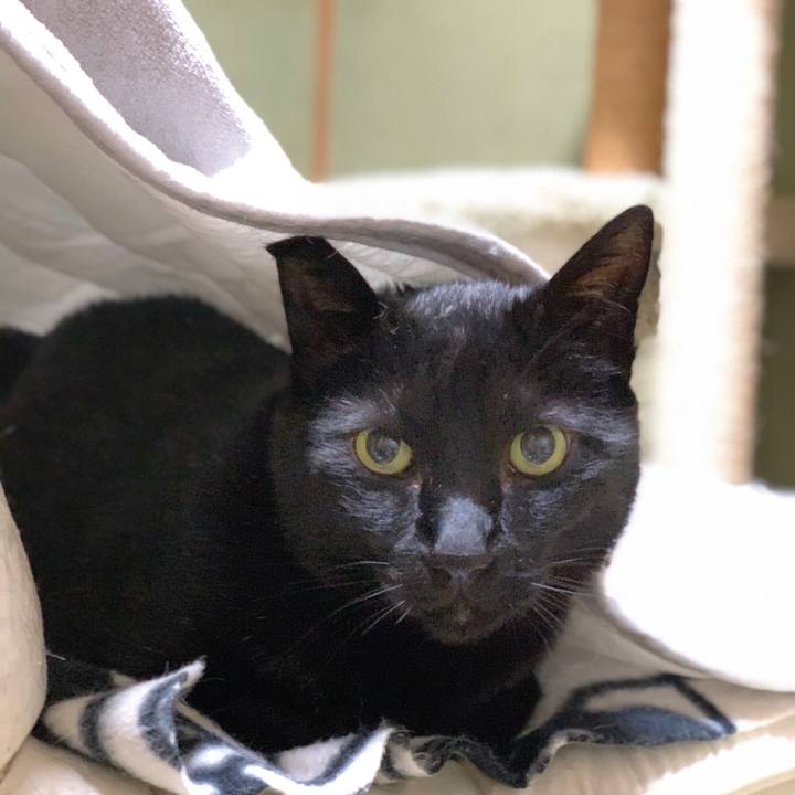 108924ae 8433 44db 8be8 373c2d6bc499 1587000507932