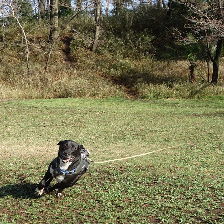 10895942 5e40 4e58 9418 1f4a6509f4a8 1647738231859