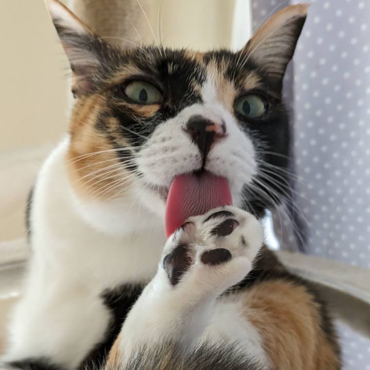 10899364 2eb2 481e b8c7 1498d081e53b 1707450161614