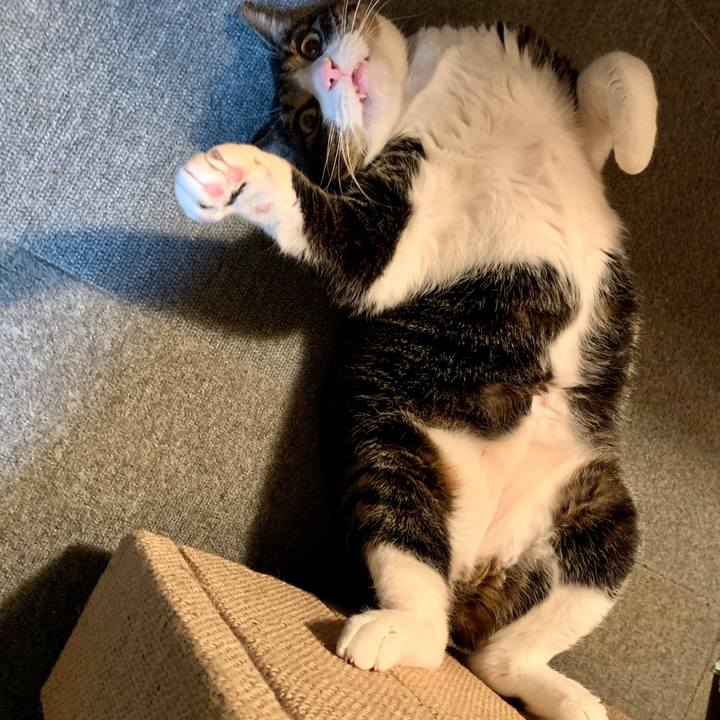 1089b08d 64dd 4c10 ab6f 0437651a75bf 1577107601401