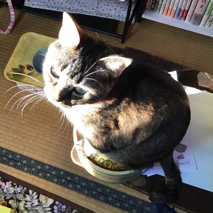 108a1463 737e 40a5 bcdf 281dafa0f4be 1639210237222