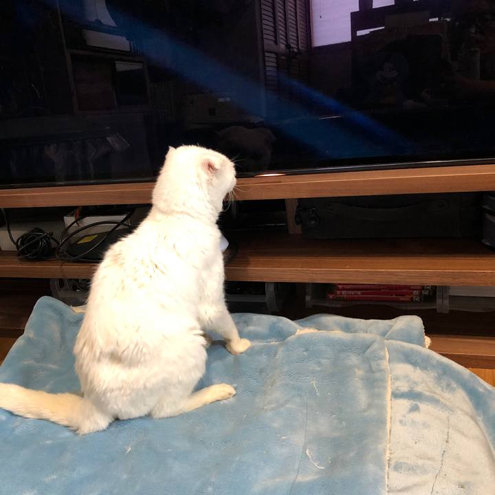 108a163d cf64 45cc be18 e6e7694dd53a 1622082017837