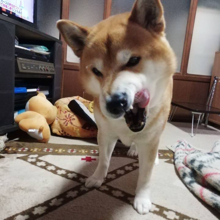 108a443f 08a4 4579 bee7 24c8a9a874f9 1583477214962