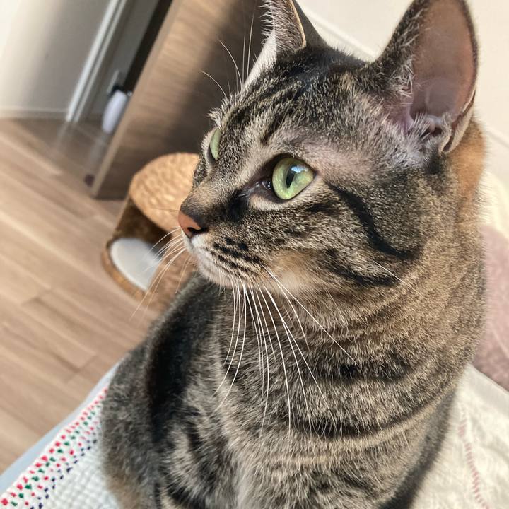 108a5fc8 ff30 47f9 829a aceddf1ea3a2 1714535273086