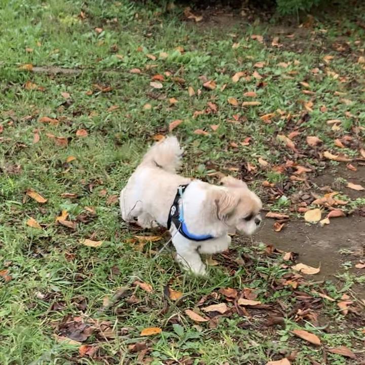 108a6a13 ccf6 4114 b789 b486cfcf4a38 1761706736489