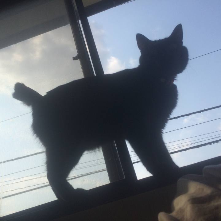 108a7226 a1de 45de 9403 1801fef0b867 1561041921605