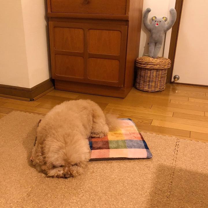 108a898b cf45 4c50 a446 f51ee3cc5c2d 1515662377464