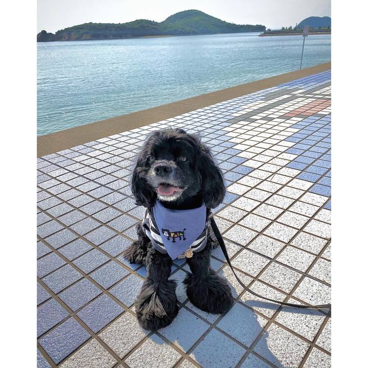 108a985f 6b19 4e10 a039 a6ade243fcf7 1652005545267