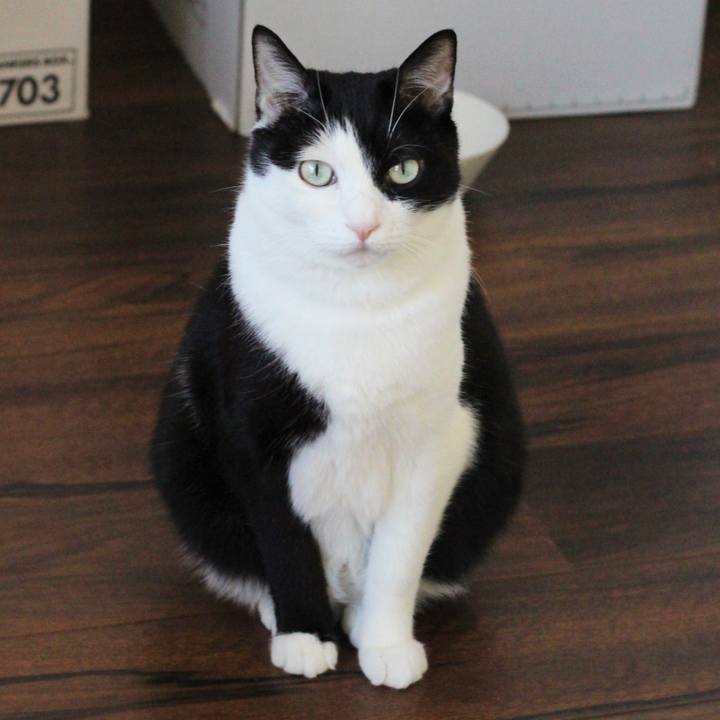 108b6607 fe10 48ea af5d 928b9424498e 1574724164245