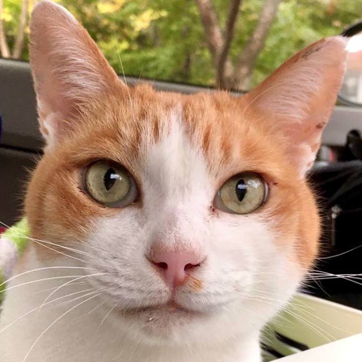 108b8463 c64f 42ef 9006 93ecde109266 1737187771768