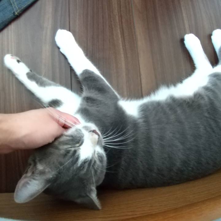 108bcf25 f3b3 43ed 8bf8 b0a97a089f66 1597104348199