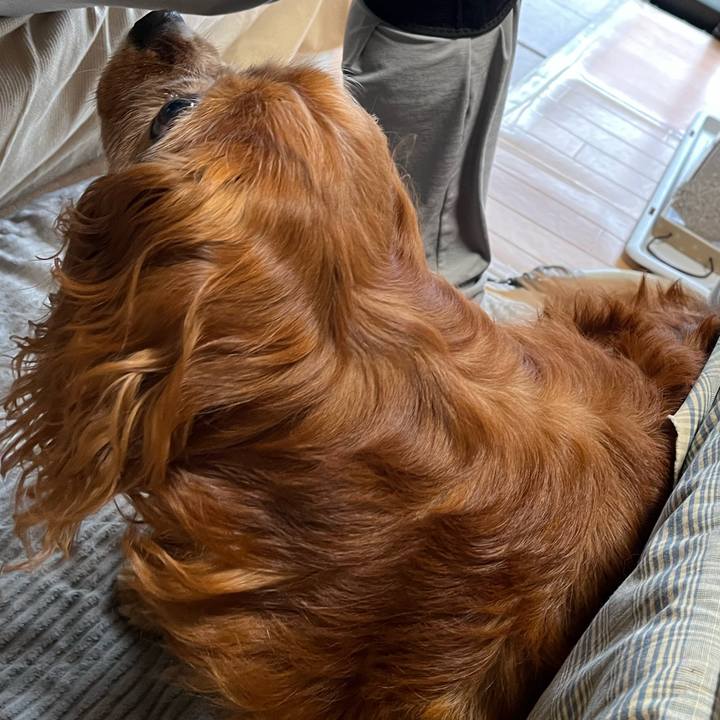 108bf7bd 1e28 4088 950c 538b70b9c7aa 1747779550282