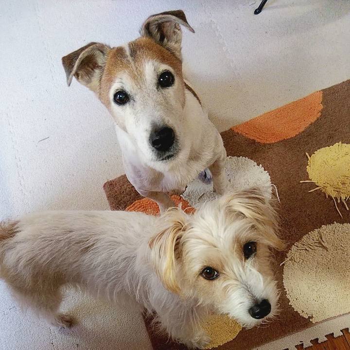 108c2c1f b652 4019 a7d7 ce2d4e5d54e6 1583879691398