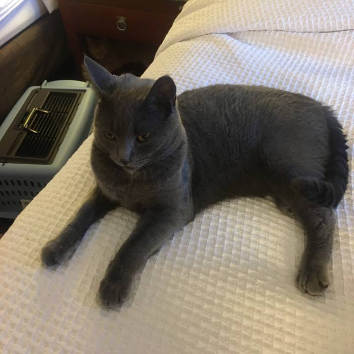 108c8928 ffdc 4a34 aa8c a8a4a18a2b7f 1633830529802