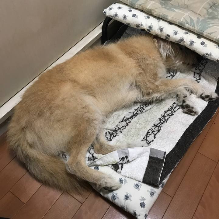 108ce272 4eef 449a 8df8 c9deabbf4fee 1604289811812